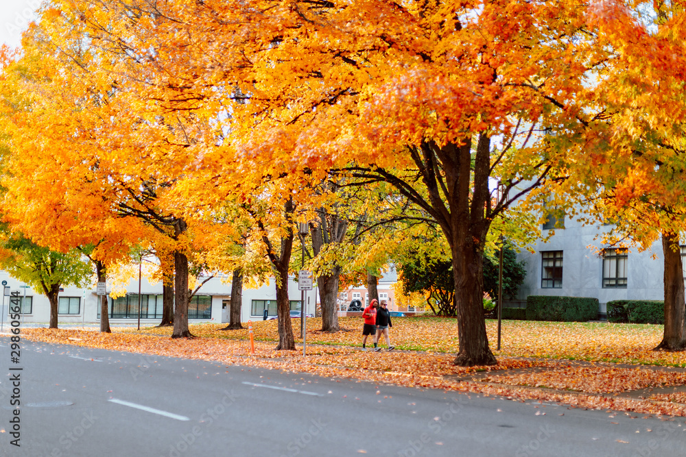 Naklejka premium Oregon State Capitol State Park in Autumn season