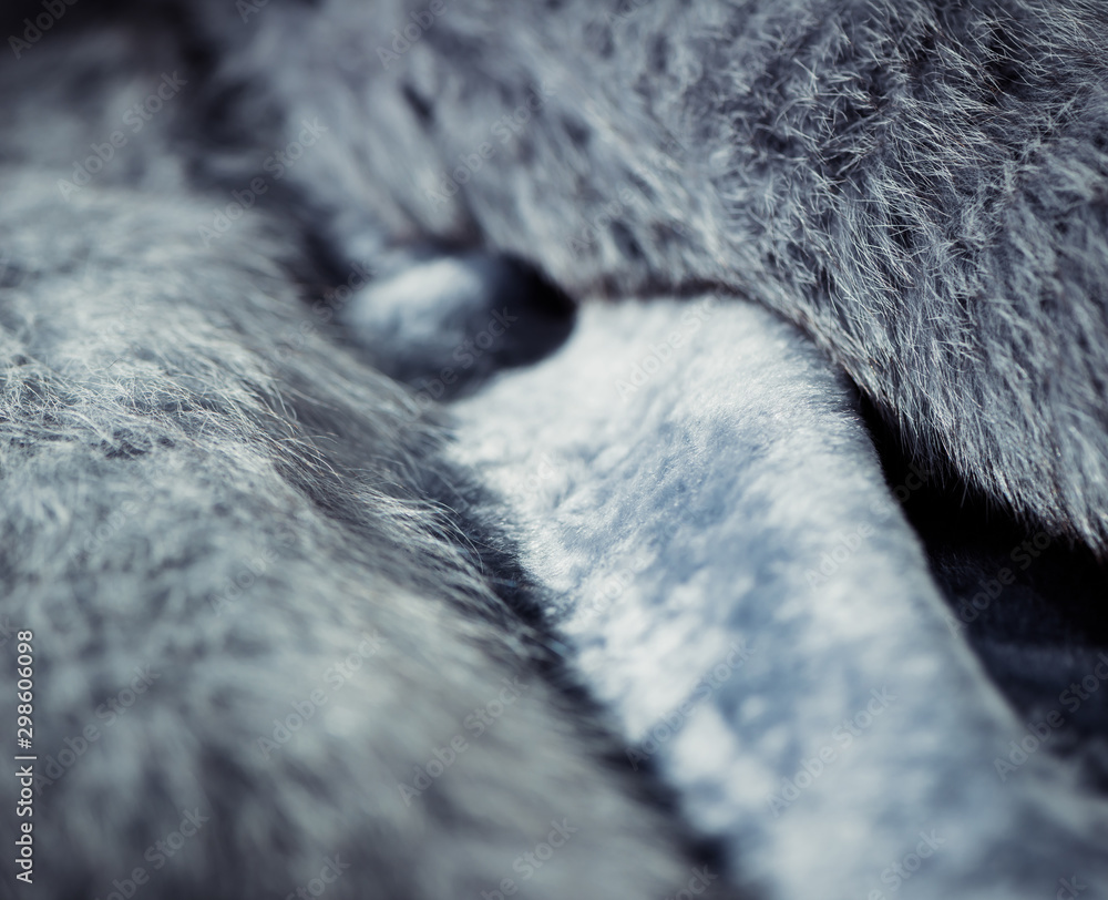 Fotografie natural blue soft fur tecture with reflections over surface closeup