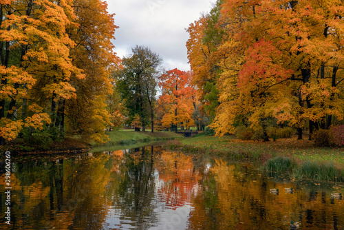 Golden autumn in Catherine Park, Pushkin, St. Petersburg, Russia.