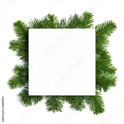 Fir tree branch frame on white