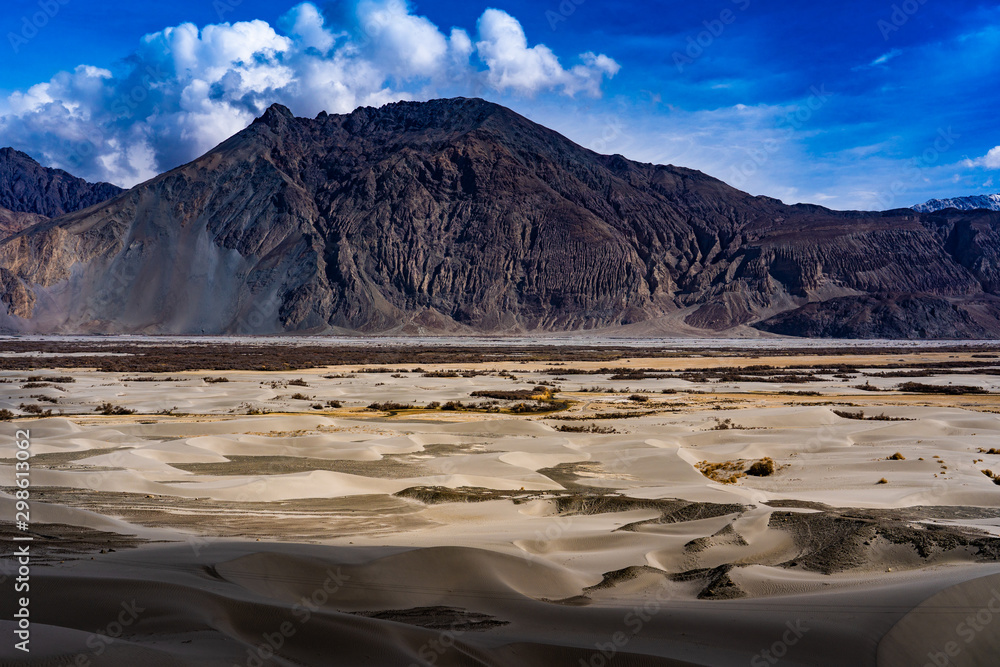 Sand Dunes in Nubra Valley, Diskit, Ladakh district, Jammu and Kashmir, India