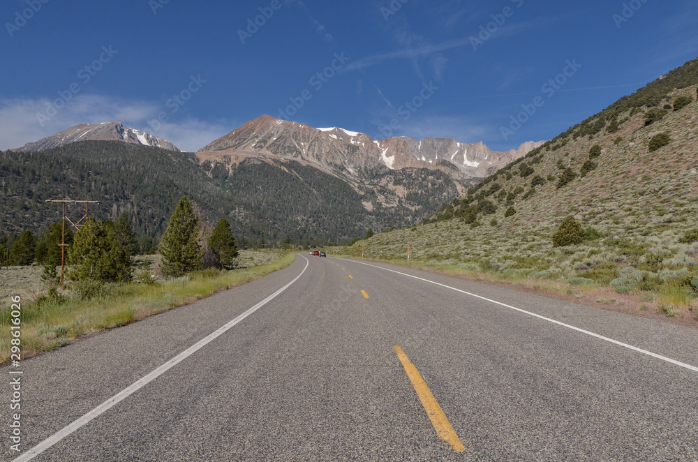Fototapeta premium scenic view of Mountain Dana and western slopes of Sierra Nevada from Tioga Road (Lee Vining, Mono County, California)