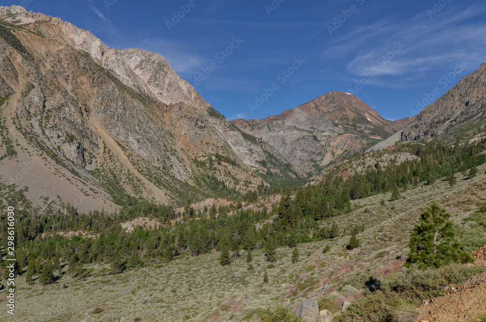 Obraz premium scenic view of Lee Vining creek valley in western Sierra Nevada from Tioga Road (Mono County, California)