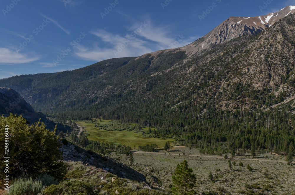 scenic view of Lee Vining creek valley in western Sierra Nevada from Tioga Road (Mono County, California)
