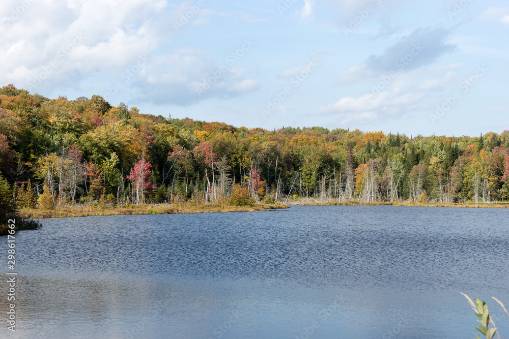 Lake and autumn forest landscape. La Mauricie National Park. Quebec. Canada