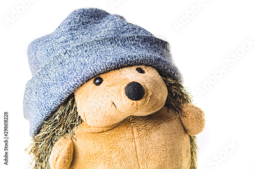 Plush hedgehog in a hat. soft toy