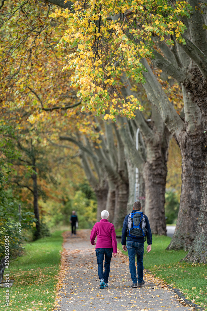 Spaziergang im Herbst Spaziergang im Herbst