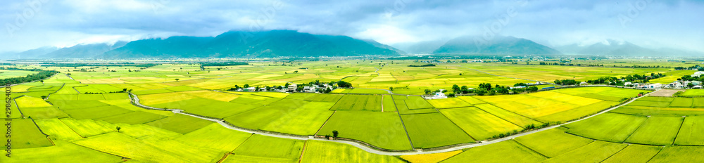 Aerial view of Beautiful Rice Fields in taitung . Taiwan. - obrazy, fototapety, plakaty 