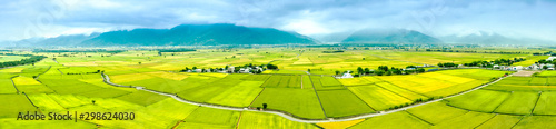 Aerial view of Beautiful Rice Fields in taitung . Taiwan.