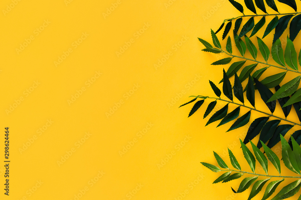  Bonitas hojas verdes sobre fondo amarillo Stock Photo