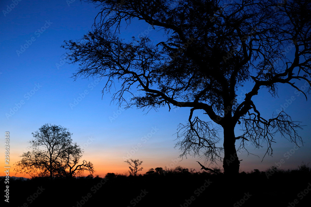 Sundown in Balule Nature Reserve. Kruger National Park, South Africa Sundown in Balule Nature Reserve. Kruger National Park, South Africa
