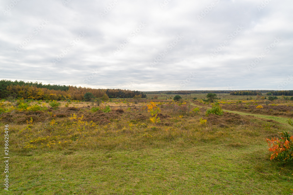 a further outlook on the  natural landscape of Cuxhaven coastal heaths, which was previously a Bundeswehr practice area