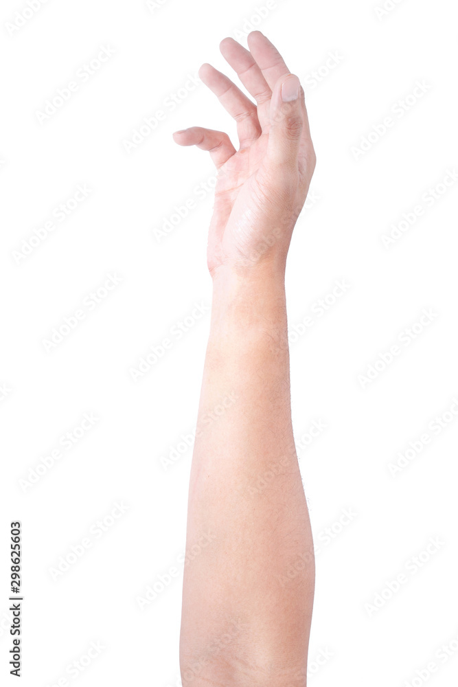 Obraz premium Male asian hand gestures isolated over the white background. Soft Grab Action.