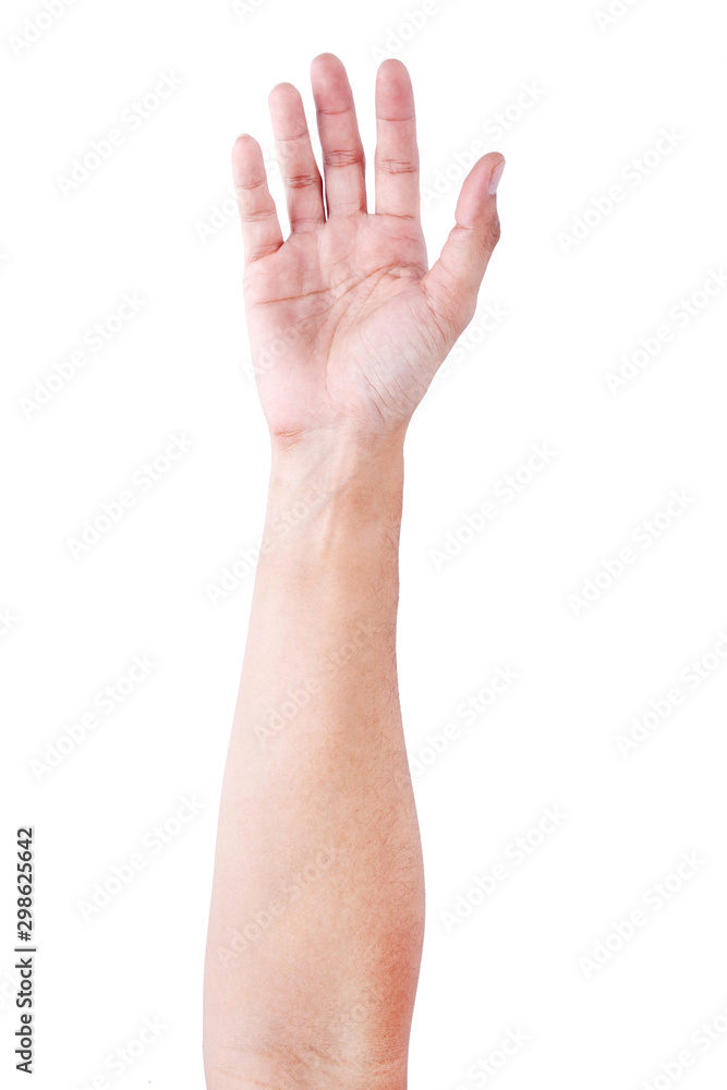 Male asian hand gestures isolated over the white background. Soft Grab Action. Male asian hand gestures isolated over the white background. Soft Grab Action.