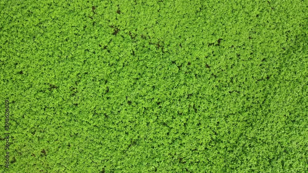 Herbstlandschaft Langenberg