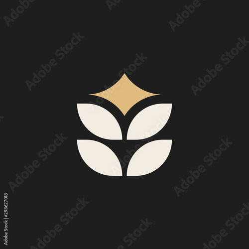 Simple wheat with star illustration for logo template design.