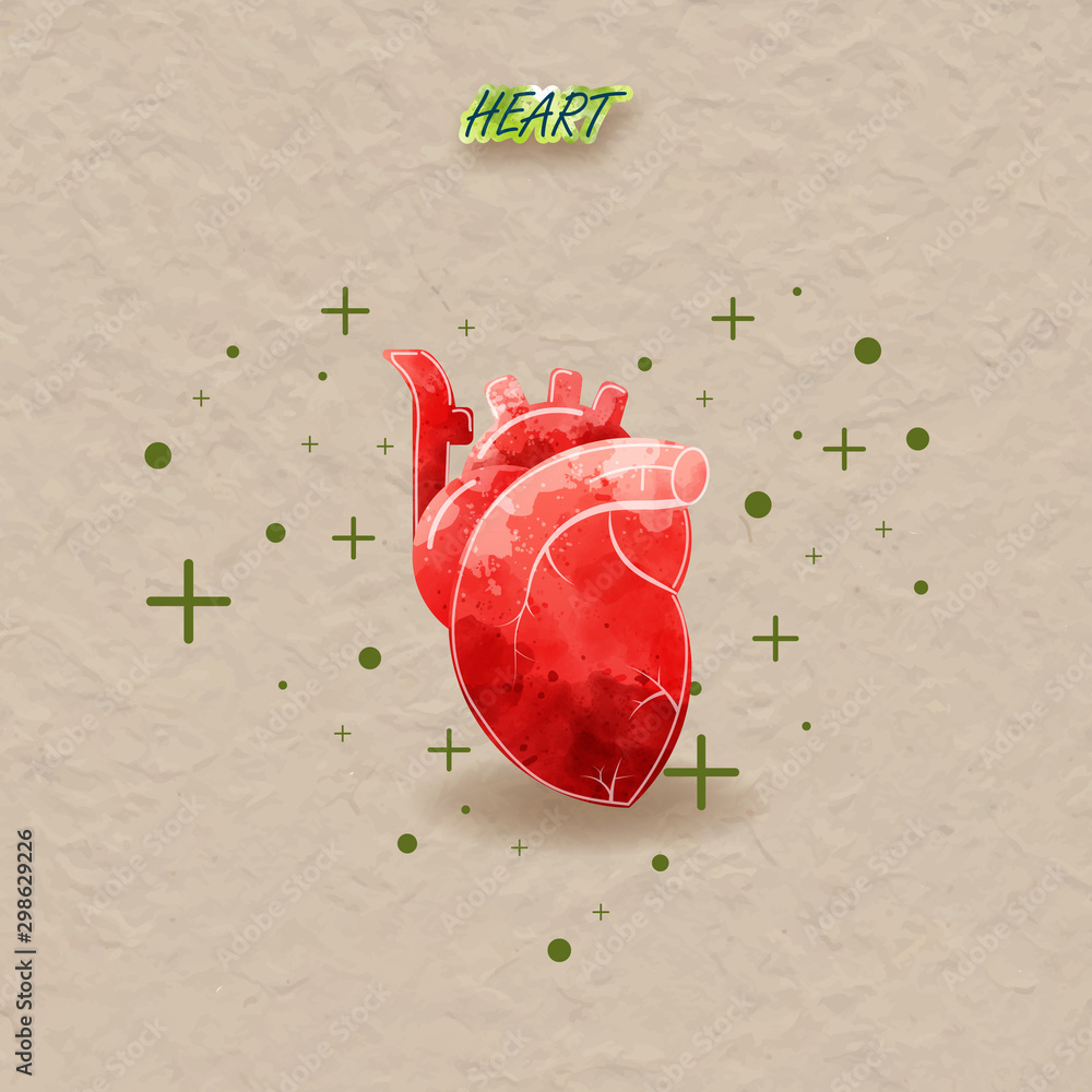 Fotografie Human heart water brush style
