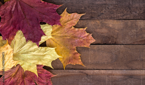 Autumn background with colored leaves on wooden surface with copy space