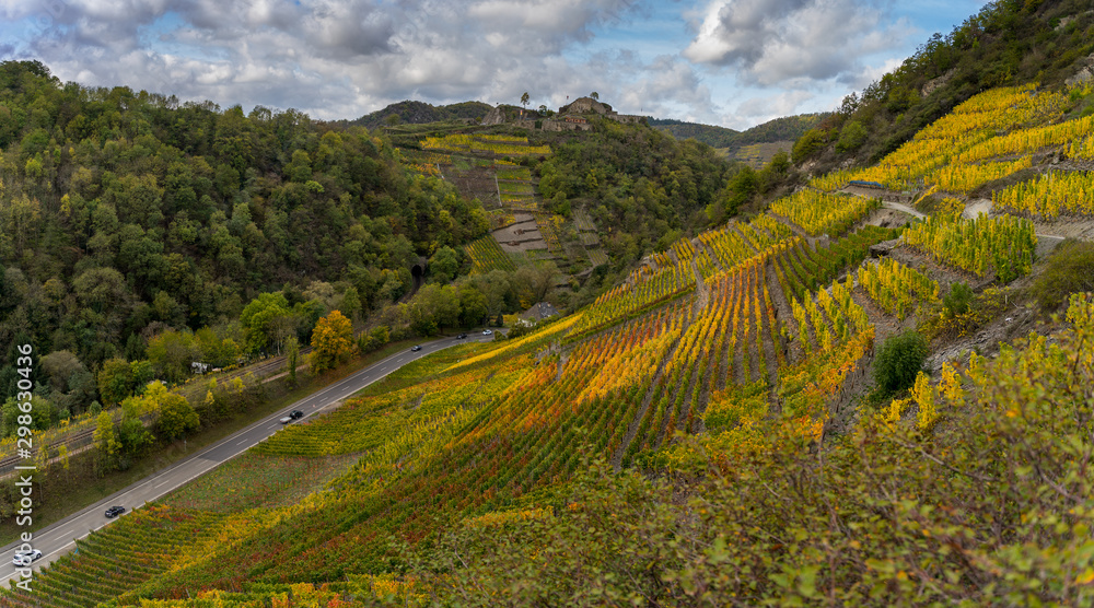 The golden autumn on the red wine trail in the Ahr valley The golden autumn on the red wine trail in the Ahr valley