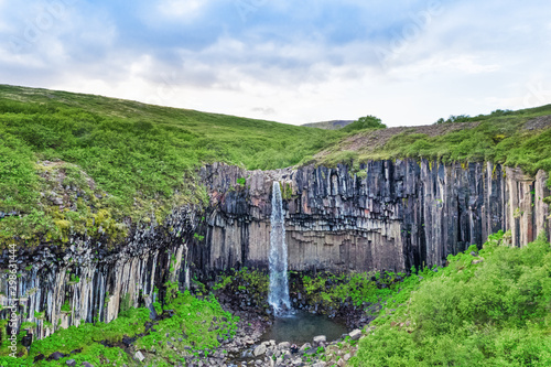 Icelandic waterfall Svartifoss in Skaftafell. Epic green landscape of Iceland, picturesque waterfall on basalt columns. Beautiful summer scenery.