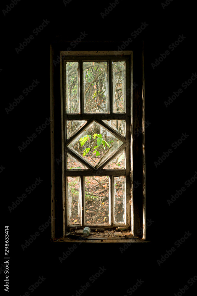 Autumn view from a dark abandoned room in Pripyat on a sunny street in the Chernobyl exclusion zone. concept of loneliness and oblivion Autumn view from a dark abandoned room in Pripyat on a sunny street in the Chernobyl exclusion zone. concept of loneliness and oblivion