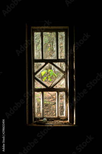 Autumn view from a dark abandoned room in Pripyat on a sunny street in the Chernobyl exclusion zone. concept of loneliness and oblivion