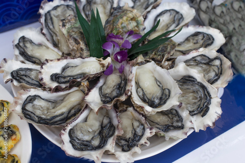 fresh and delicious raw oysters as food background