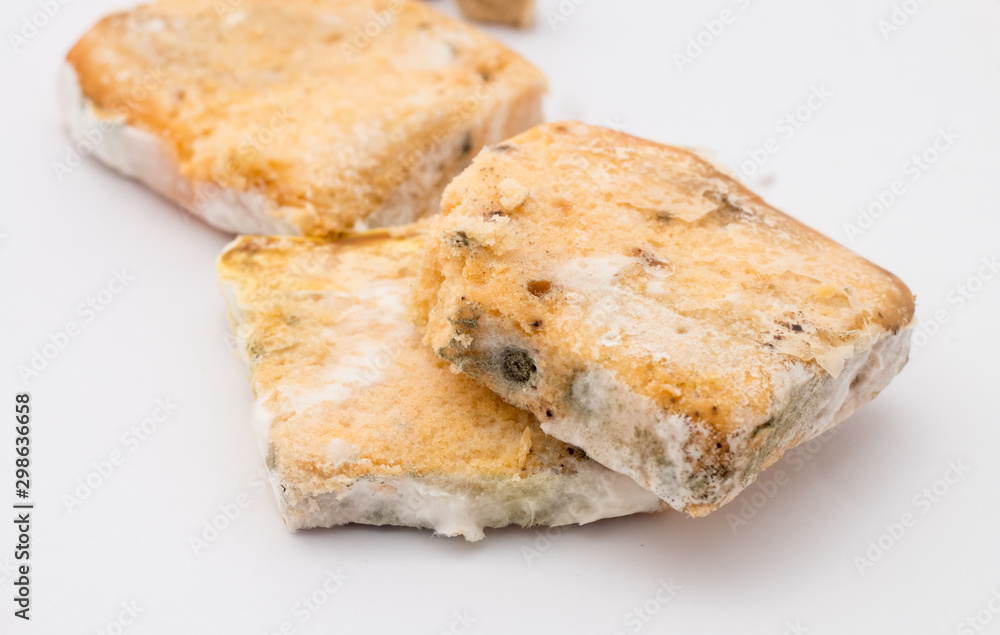 mould on bread close up mould on bread close up