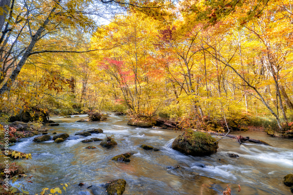 See the beautiful waterfall in Oirase gorge in autumn, Tohoku, Aomori See the beautiful waterfall in Oirase gorge in autumn, Tohoku, Aomori