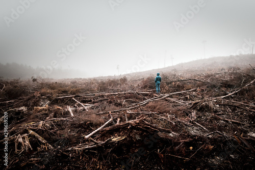 Person stands in the middle of a dead forest surrounded by dense fog, lumbered by timber industry, Tarkine Forest, Tasmania, Australia
