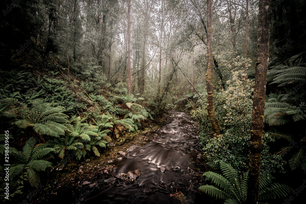 Bush hike past waterfalls and through the jungles of Tasmania, Australia's largest island with a fascinating natural environment. Perfect for those who love the landscapes and wildlife, as well as the Bush hike past waterfalls and through the jungles of Tasmania, Australia's largest island with a fascinating natural environment. Perfect for those who love the landscapes and wildlife, as well as the