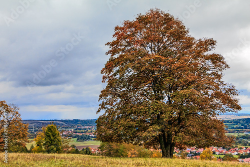 Blick von der Anhöhe am Halbigsturm in Gräfenhain photo