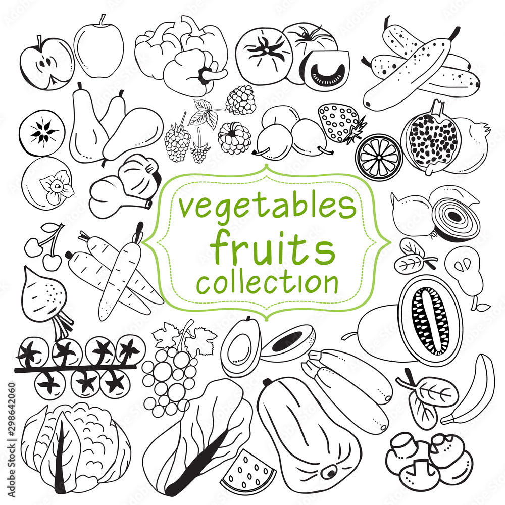 collection of doodle organic fruits and vegetables