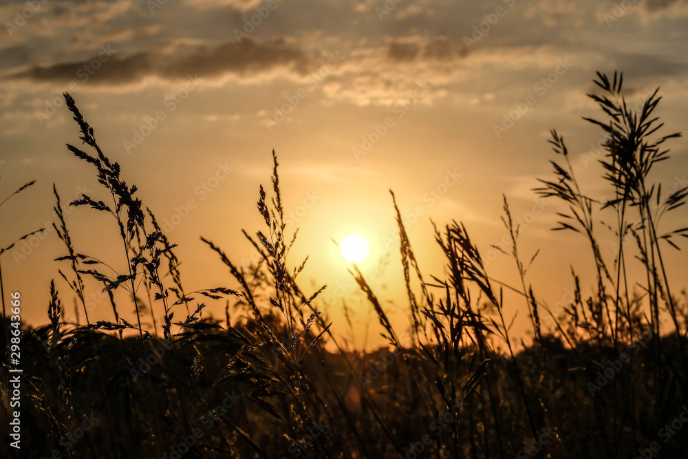 Dawn in a wheat field. Beautiful landscape on sunrise Dawn in a wheat field. Beautiful landscape on sunrise
