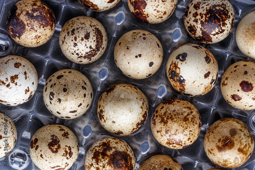 small motley quail eggs in transparent plastic packages.Open space, healthy food concept, plants, soil, organic natural products, natural food, vegetarian dishes, vegetables, raw small motley quail eggs in transparent plastic packages.Open space, healthy food concept, plants, soil, organic natural products, natural food, vegetarian dishes, vegetables, raw