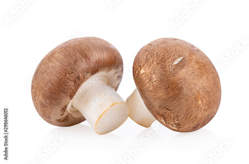 Fresh champignon mushrooms isolated on white background. full depth of field