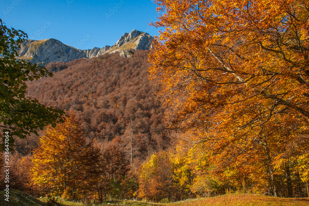 Autumn view of Monte Terminillo, a mountain massif, whose highest peak reaches 2217.13 m of altitude