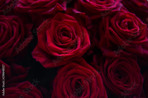 Red Roses Background. red roses close-up bouquet