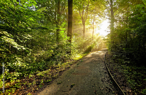 Forêt de Bonsecours photo