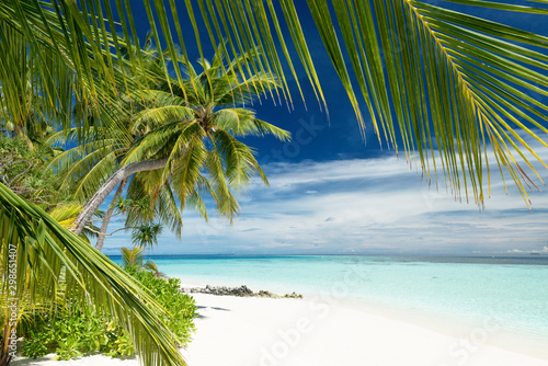 Fototapeta Naklejka Na Ścianę i Meble -  tropical paradise beach
