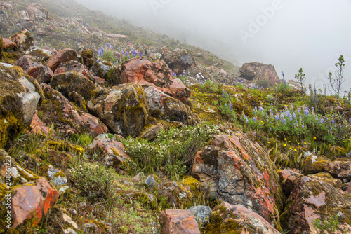 The Salkantay trek (Andes, Peru). The stones, covered with thick fog