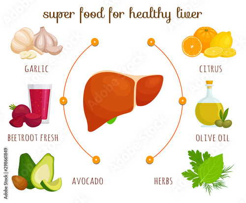 Products for a healthy liver. The best food for cleansing and proper liver function. Vector infographics on the theme of proper nutrition and healthy lifestyle. Cartoon style banner.