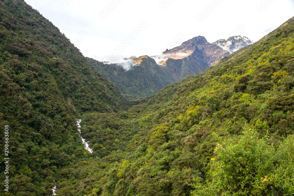 Obraz premium Сloud forest and tropical jungle around Chaullay in Peru (Salkantay trek)