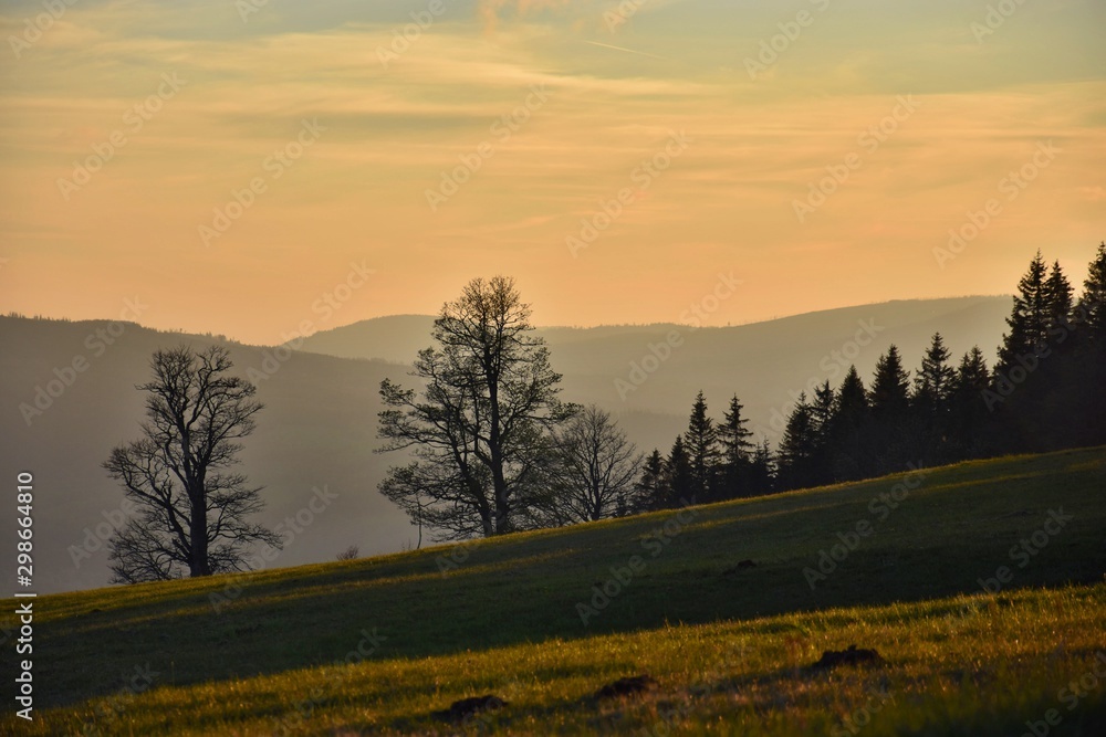 Bohemian forest - spring sunset