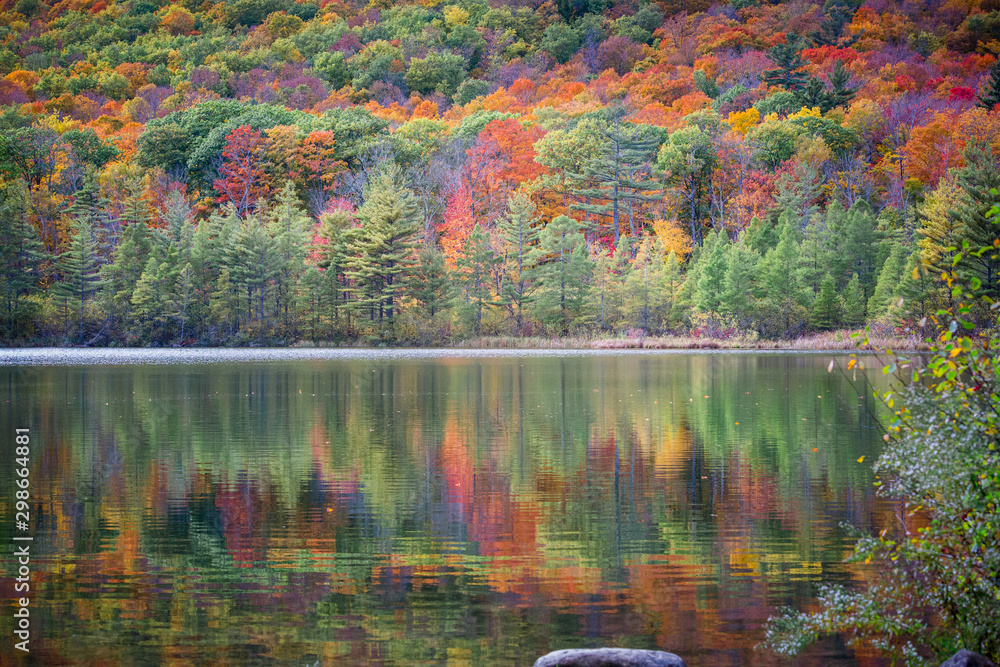 autumn trees reflecting on lake with beautiful fall foliage colors