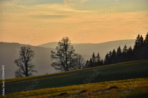 Bohemian forest - spring sunset