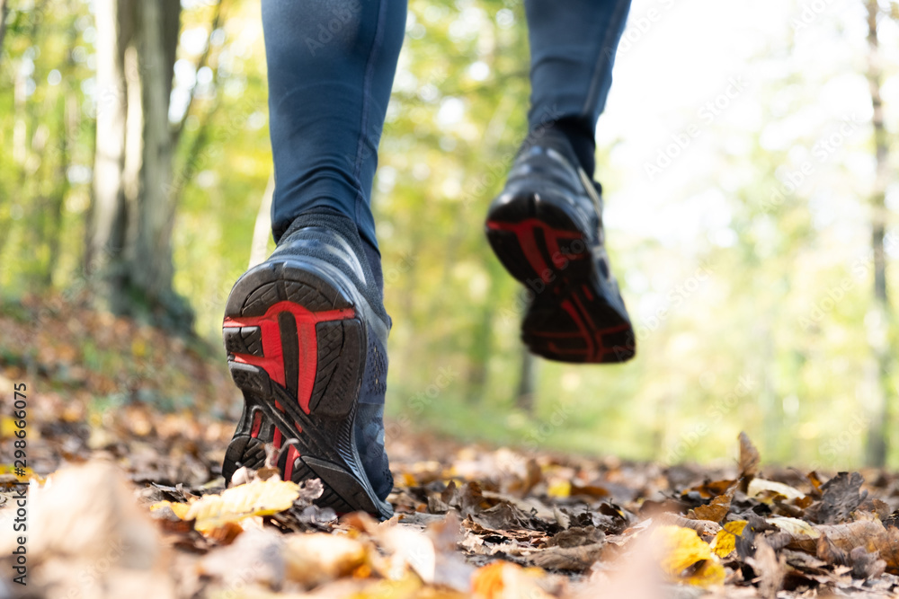 Sportler beim joggen im Wald Sportler beim joggen im Wald