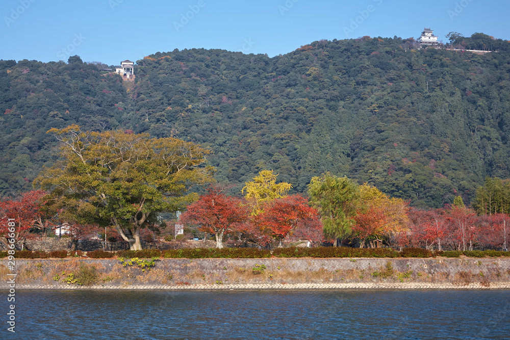 The colored leaves trees on the shore of Nishiki river in the fall. Iwakuni. Japan