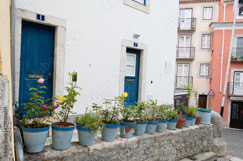 Casa con plantas