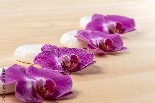Wooden background with orchids and white stones for design. Copy space